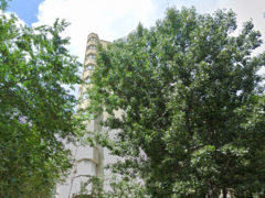 Basarabia x Bd Chisinau, 5 min. Arena Nationala si 15 min. Costin Georgian