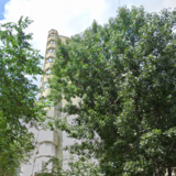 Basarabia x Bd Chisinau, 5 min. Arena Nationala si 15 min. Costin Georgian